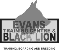 Black Lion Canine Obedience Training and Kennels