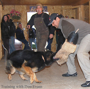 Off-leash training with Don Evans